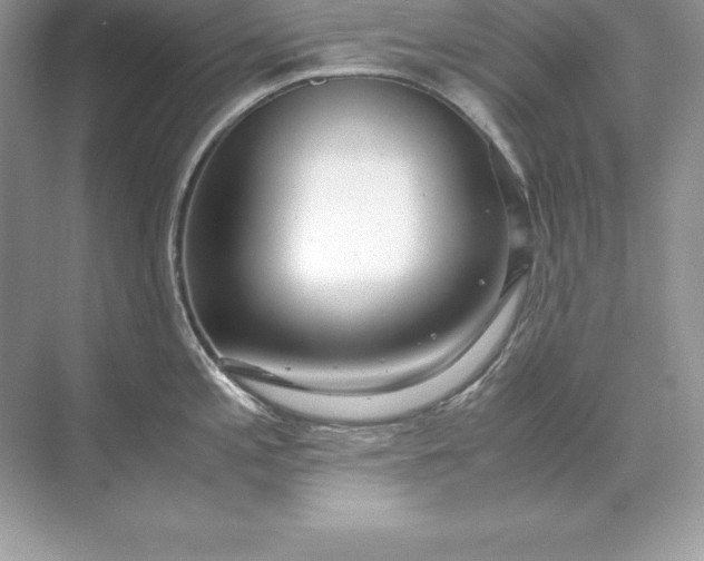 X0000071951197200607212218