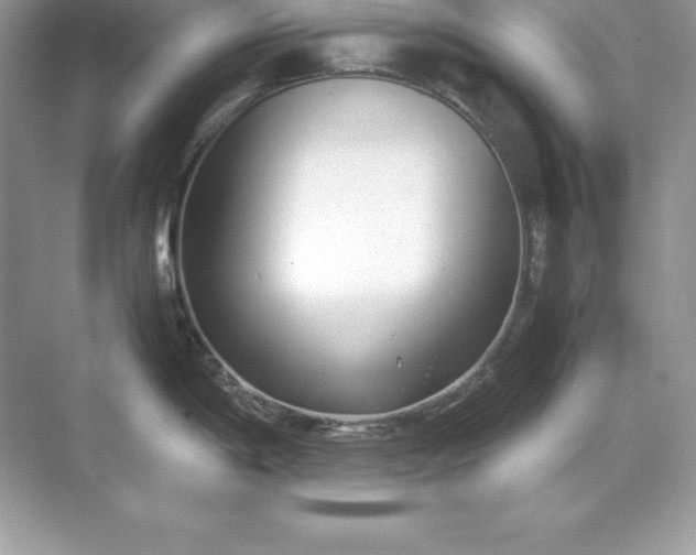 X0000071951198200607212218