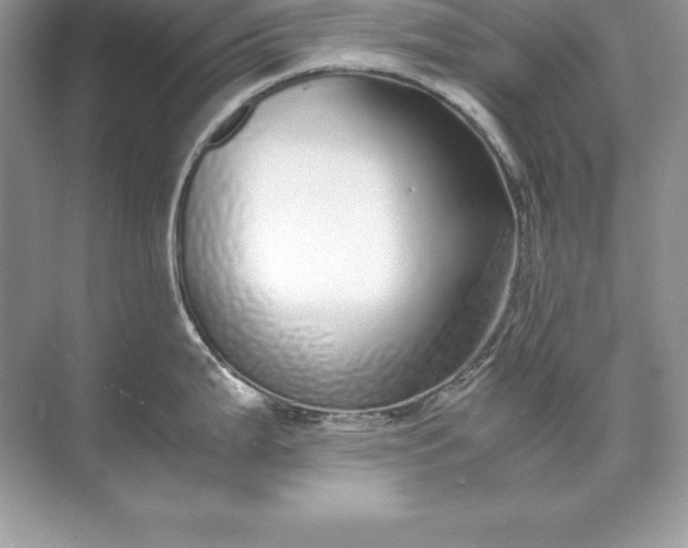 X0000071951199200607212218