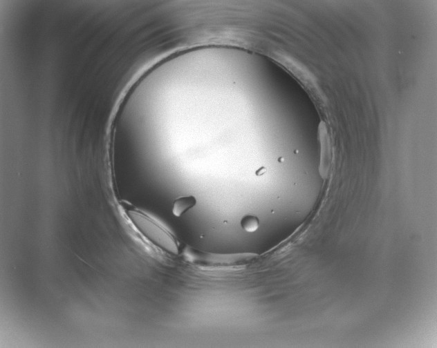 X0000071951200200607212218