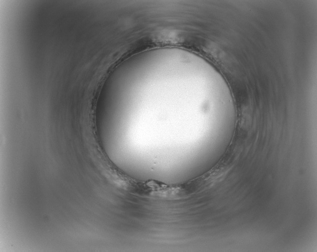 X0000071951201200607212217