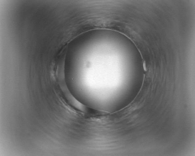 X0000071951202200607212217