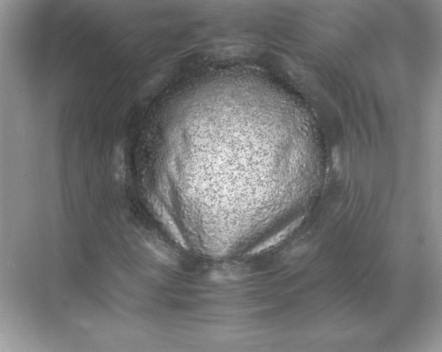 X0000071951203200607212217