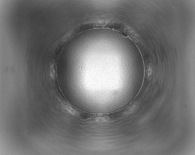 X0000071951204200607212217