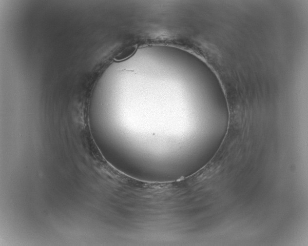 X0000071951205200607212217