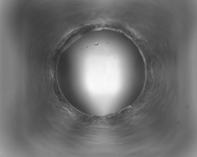 X0000071951206200607212217