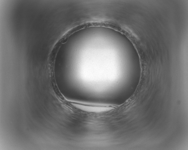 X0000071951208200607212217