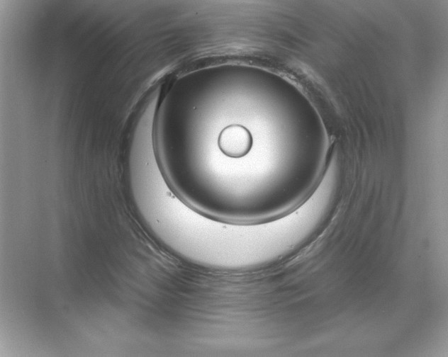 X0000071951210200607212217