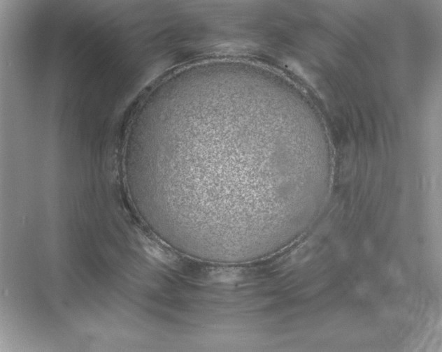 X0000071951211200607212218