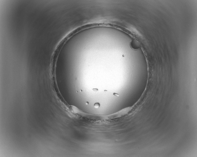 X0000071951216200607212218