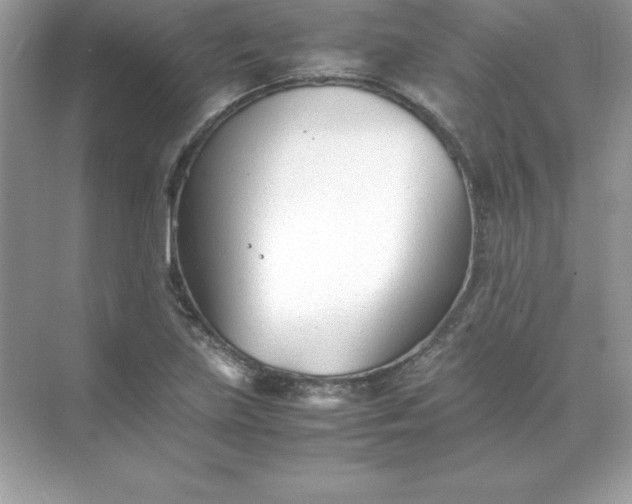 X0000071951219200607212218