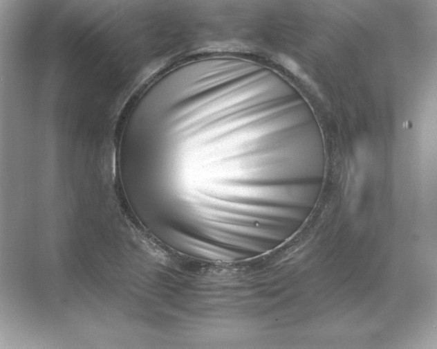 X0000071951221200607212218