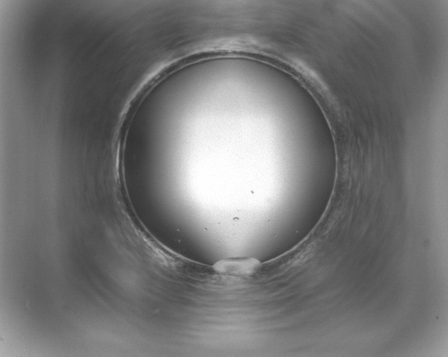 X0000071951224200607212218