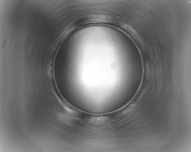 X0000071951225200607212218