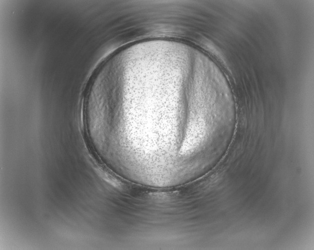 X0000071951227200607212218