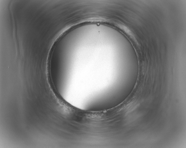 X0000071951229200607212218