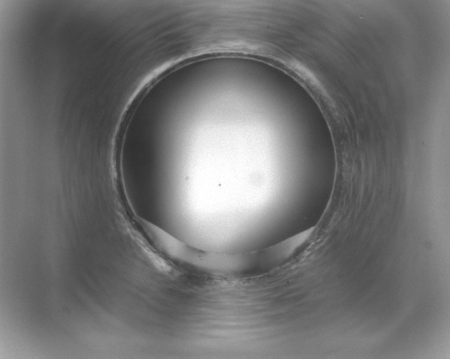 X0000071951230200607212218