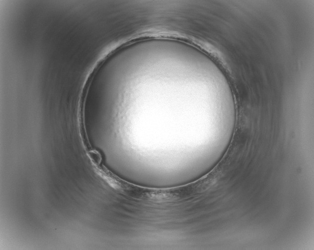 X0000071951231200607212218