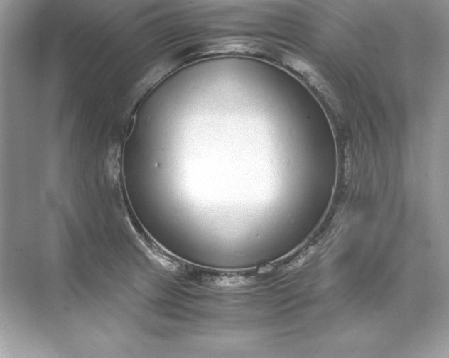 X0000071951233200607212218