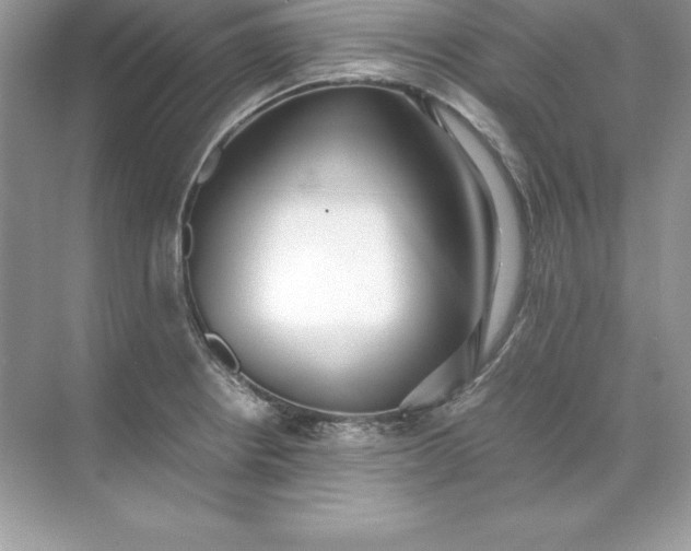 X0000071951234200607212218