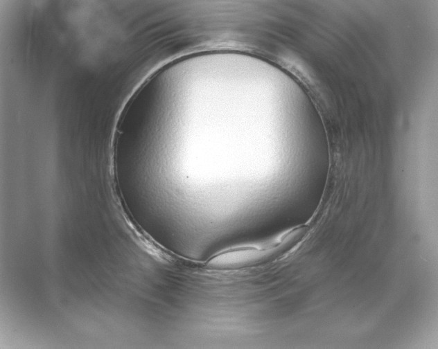 X0000071951236200607212218