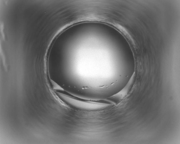 X0000071951238200607212218