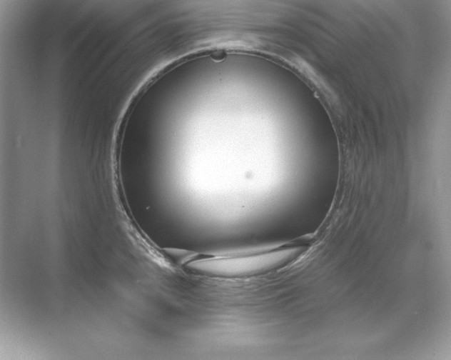 X0000071951240200607212218