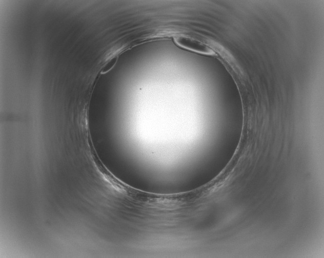 X0000071951241200607212218