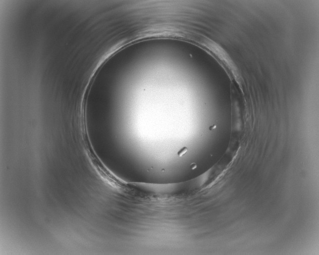 X0000071951242200607212218