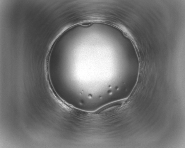 X0000071951243200607212218