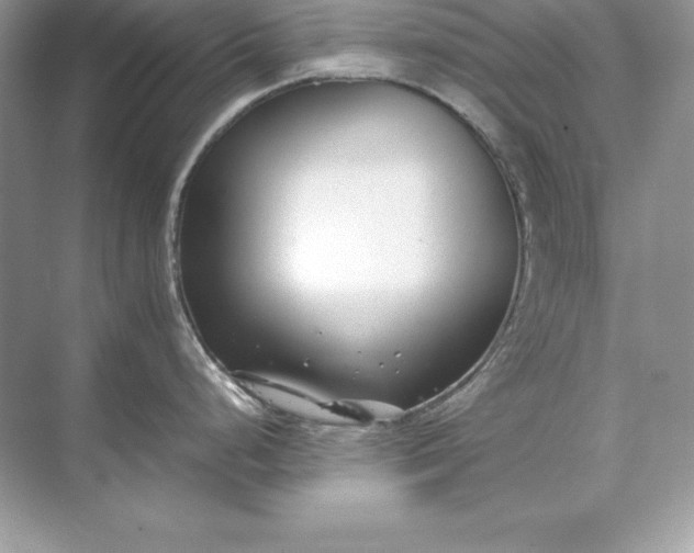 X0000071951248200607212218