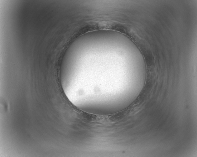 X0000071951249200607212217