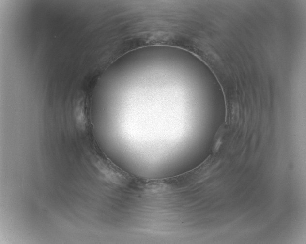 X0000071951250200607212217