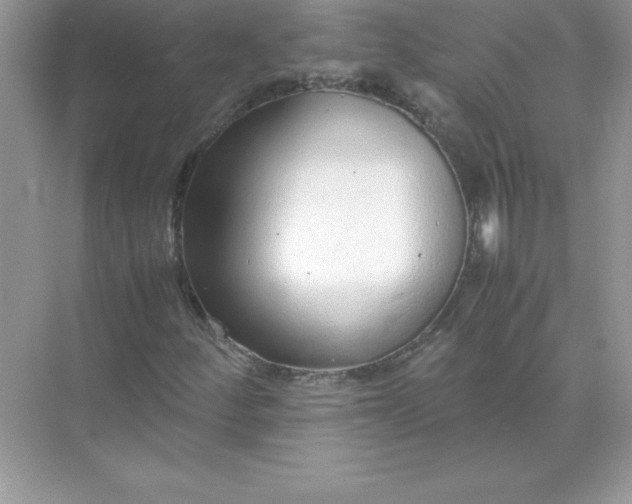 X0000071951252200607212217