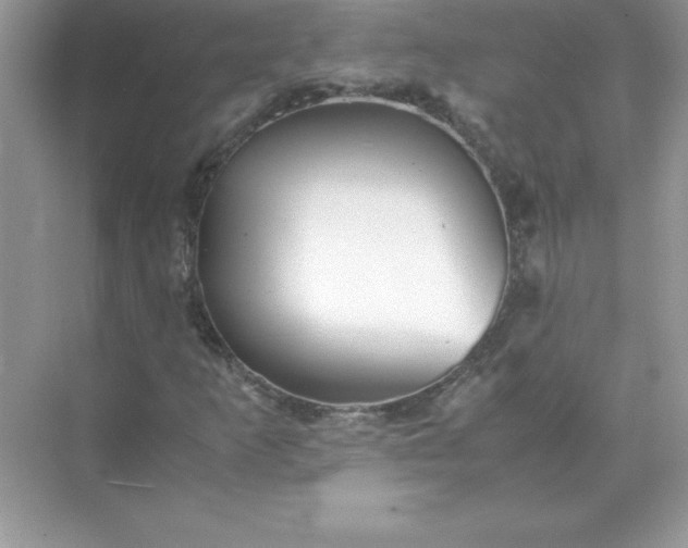 X0000071951253200607212217