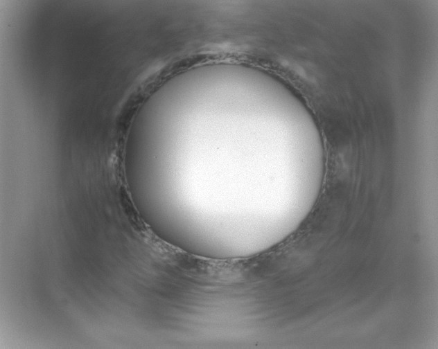 X0000071951254200607212217