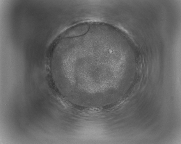 X0000071951255200607212217