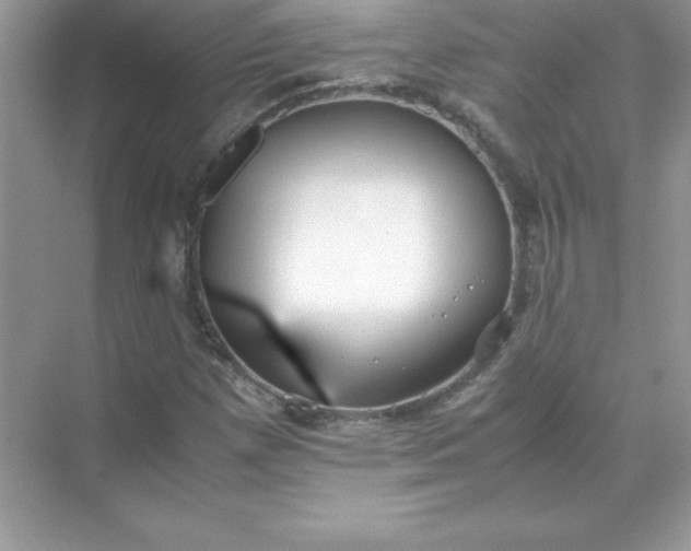 X0000071951257200607212217