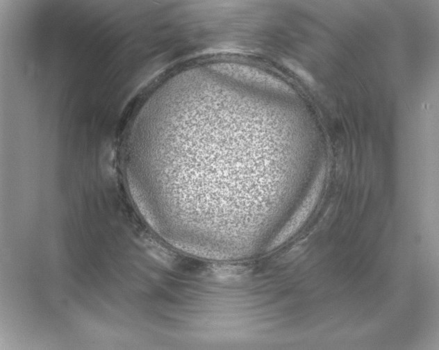 X0000071951258200607212217