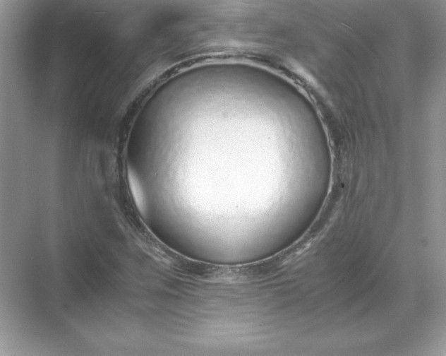 X0000071951259200607212217