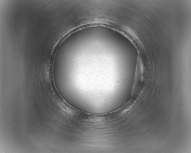 X0000071951260200607212217