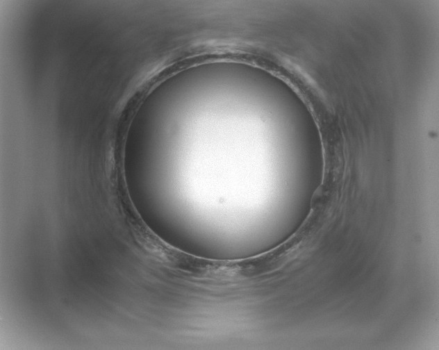 X0000071951261200607212217