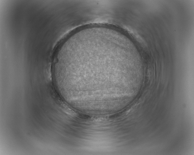 X0000071951262200607212217