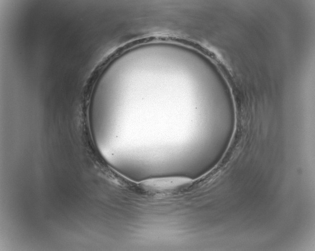 X0000071951263200607212217