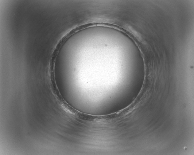 X0000071951264200607212217