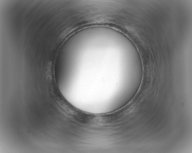 X0000071951265200607212217