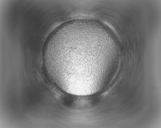 X0000071951267200607212217