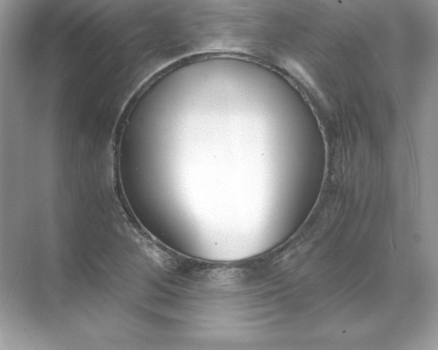 X0000071951268200607212217