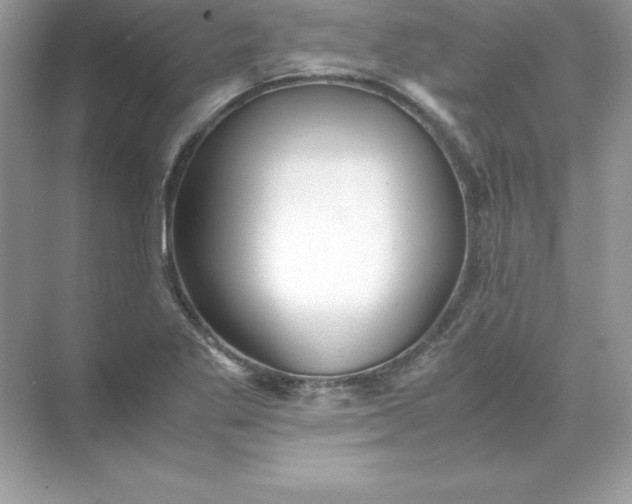 X0000071951269200607212217