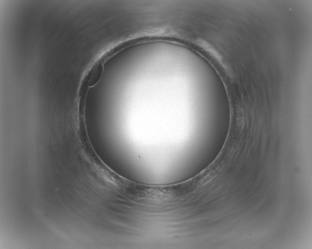 X0000071951270200607212217